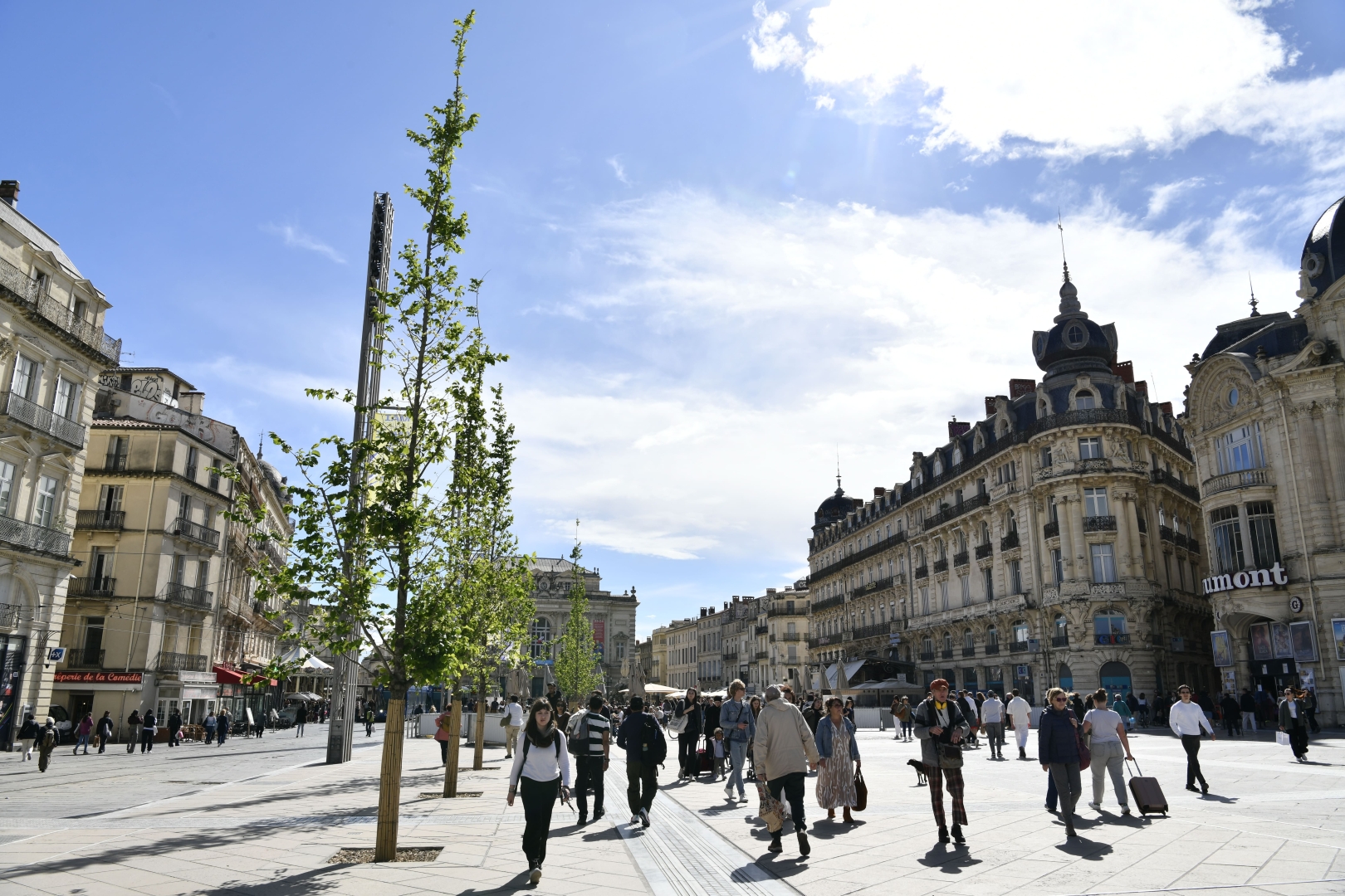Place de la comédie, végétalisée 