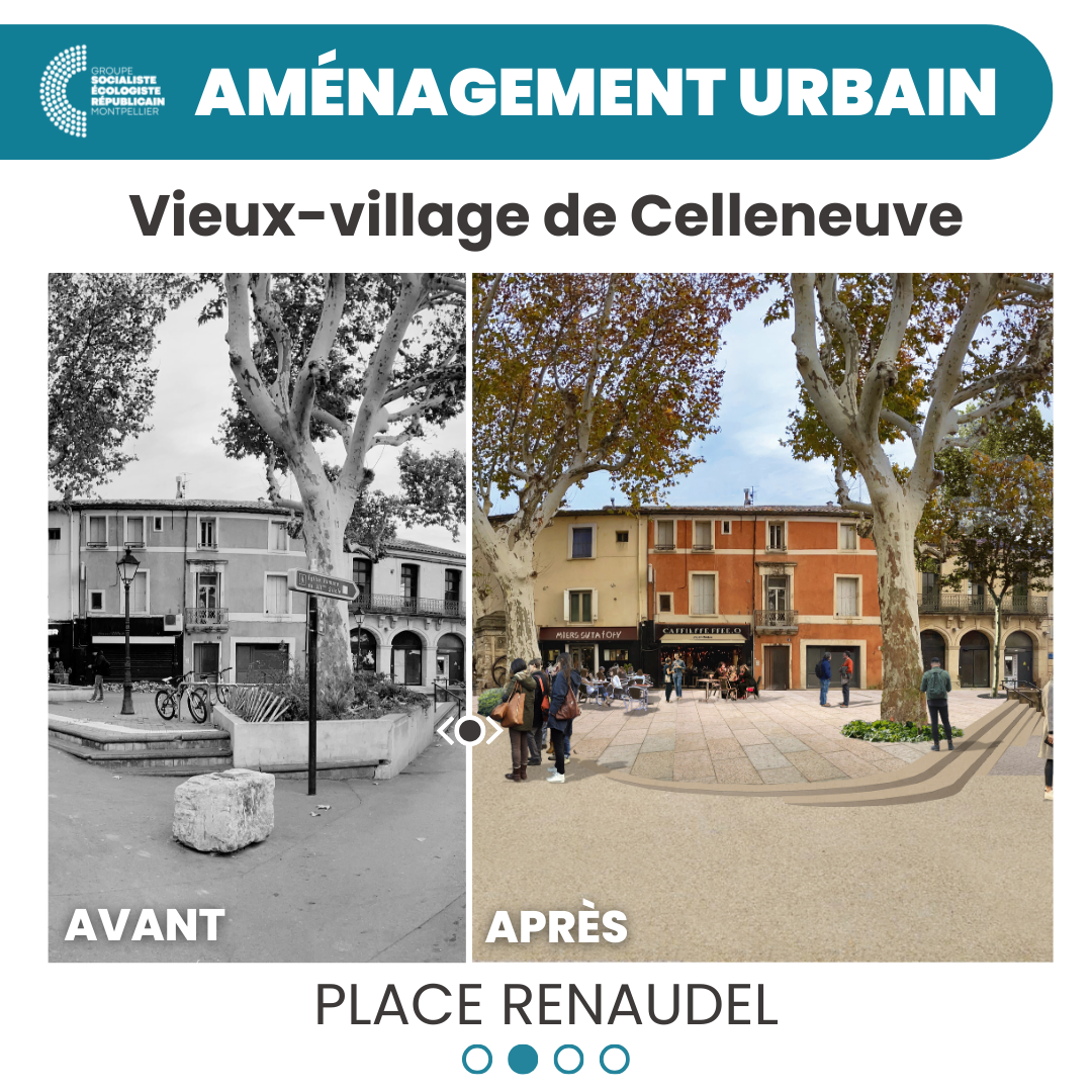 celleneuve 1