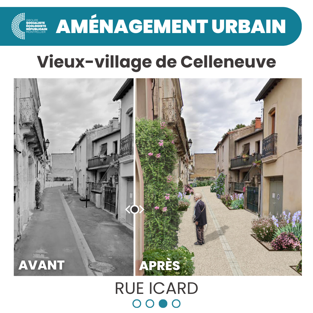 celleneuve 2