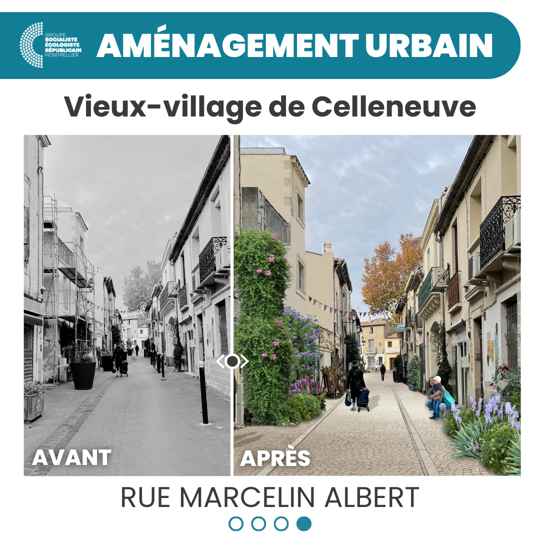 Celleneuve 3