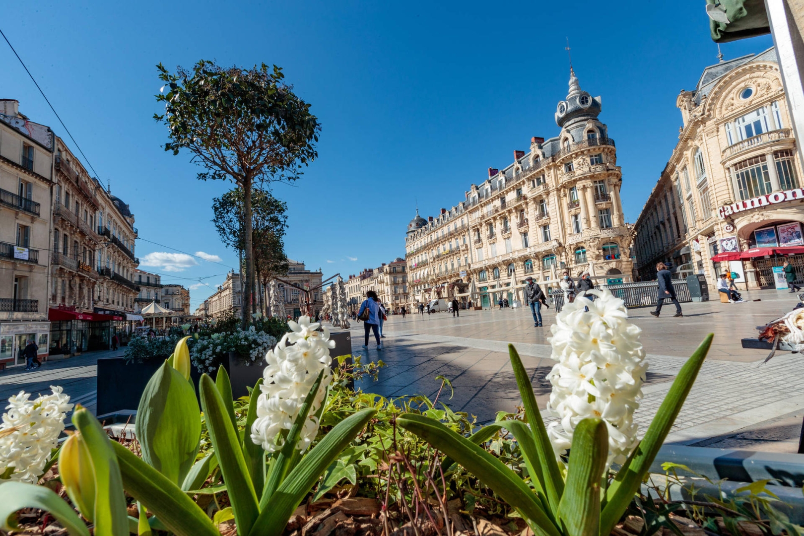 Place de la Comédie 