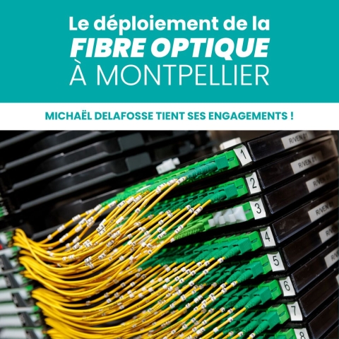 Fibre montpellier