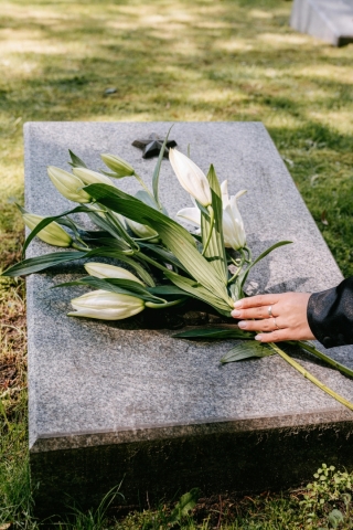hommage Ilan H