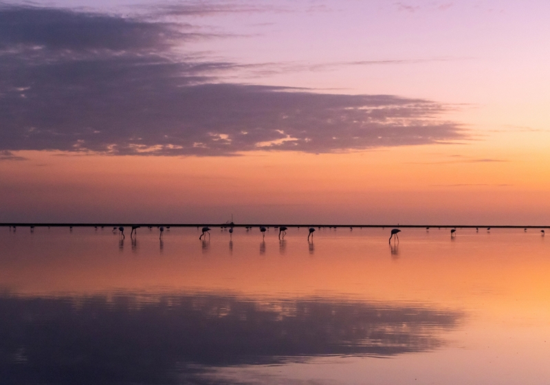 languedoc