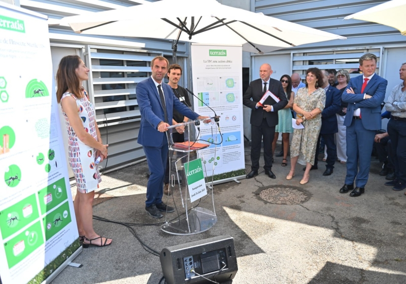 Terratis : action pour la démoustication à Montpellier 